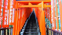 Kyoto 1 Day Charter Car Tour from Osaka or Kyoto