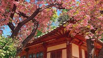 Full Day Tour in Seosan Gaesimsa, Munsusa and Suwon Hwaseong