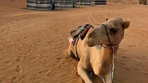 Private Tour in Wahiba Sands and Wadi Bani Khalid Adventure
