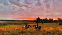 Champagne and Charcuterie Sunset Trail Ride