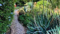 Anima Garden Experience: Tickets And Hassle-Free Transfers