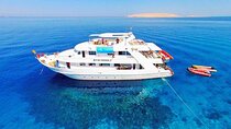 Snorkeling Day-trip to Ras Mohamed & White Island by Boat - Sharm