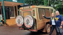Full Day Ultimate Tour in Exploring the Wonders of Lake Manyara