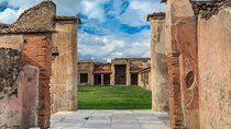Pompeii Guided Group Tour from Rome 