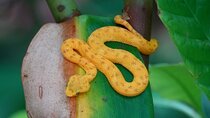 Hike Adventure in Cahuita National Park 