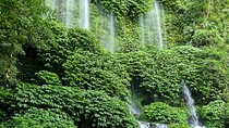 Best Lombok Monkey Forest with Benang Kelambu Waterfall