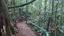 Night Animal Watching Activity in Monteverde