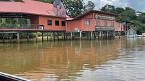 Orang Utan Island and Ipoh Private Day Tour from Kuala Lumpur