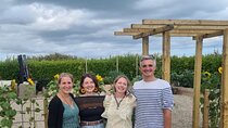 Spring Tonic Foraging Tour
