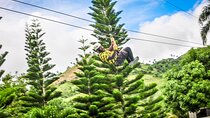 Ziplining in YS Falls and Black River Safari Private Tour