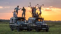 5-Days Private Luxury Safari: Arusha, Serengeti and Ngorongoro