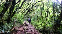 1 Day Mount Kilimanjaro