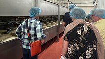 Parmesan, Wine, Balsamic Full Day Tour with Lunch