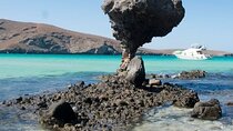Tour to Playa La Paz from Cabo San Lucas