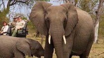  7 Days Garden Route Private Tour - Durban To Cape Town