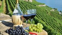  Cape Winelands Tour to Stellenbosch, Franschhoek and Paarl