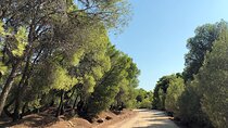 Private Tour to Athens Riviera and Cape Sounion