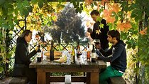 Organic Winery Tour and Tasting in Tuscany