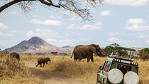 3 Days Ngorongoro & Serengeti Fly in Safari