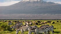  Explore Nairobi's Wilderness on 5-Day Tour