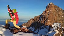 Day Tour in Mount Kenya from Nairobi with lunch