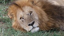 Day Trip To Ngorongoro Crater
