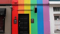 Private Reykjavik LGBTQ City Walk