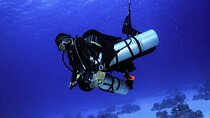 Advanced Diving Course by PADI with Lunch & Transfers - Hurghada
