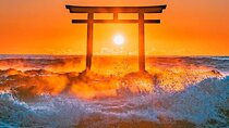 Kyoto, Osaka, Nara Private Tour by Car English Driver Guide