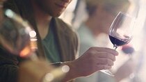 Sensorial Wine Tasting and Masterclass in Chianti Region