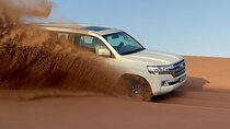 Desert Safari + Miracle Garde+Global Village (Trio Package)