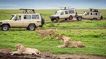 2 Days Private Midrange Lodge Safari with Mount Kilimanjaro hike