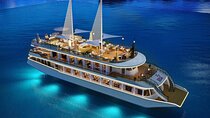 IRIS Luxury Halong 1 Day on Cruise From Hanoi with Bus and Lunch