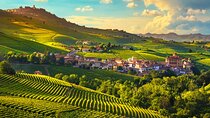 Barolo wine Tasting, Alba, UNESCO Castle: Small Group from Milan