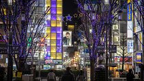 Private Tour in Shinjuku with a Spanish-Speaking Photographer