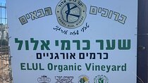 Private Historical Wine Tour from Jerusalem