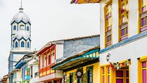 Filandia, Salento and Cocora Valley Tour
