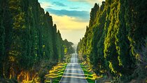 Best of Bolgheri- Full day Private experience in Bolgheri