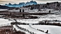 Jackson Hole Full-Day Dog Sledding and Snowmobiling Combo Trip 