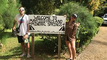 Dune Buggies Experience and Mayfield falls 