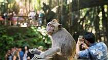 The All Inclusive Best Ubud Experience