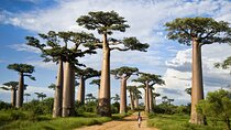 2-Day Adventure to Tarangire and Ngorongoro