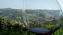 Wine Tour with a winemaker 