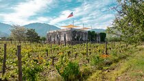 Tour to Maipo boutique wineries