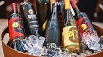 Mexican Wine Tasting Experience