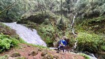Picture your best SF tour ever! (Epic Bay Area photo adventures)