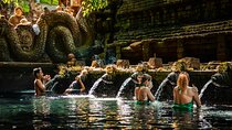 Experience Ubud Highlights Private Tour