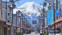 Tokyo: Instagram-Worthy Mt Fuji & Lake Kawaguchiko Day Trip