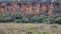 1 Day trip to Hells Gate National Park and Lake Naivasha