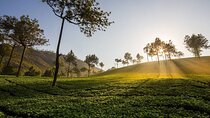 15 Days Private Tour in North India Mumbai and Kerala